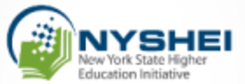 NYSHEI  logo